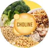Brand photo for Choline