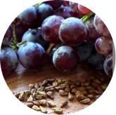 Brand photo for Grape seed extract