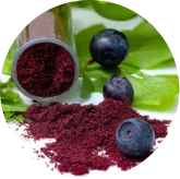 Brand photo for Bilberry fruit extract
